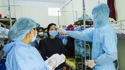 Total number of COVID-19 cases remains unchanged at 355