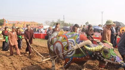 Three day Doi Son Ploughing Festival 2017 soon to kick off
