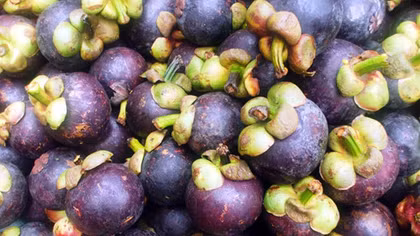 Mangosteen hit US and Australian supermarket shelves