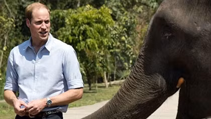 Prince William visits Vietnam for wildlife conservation