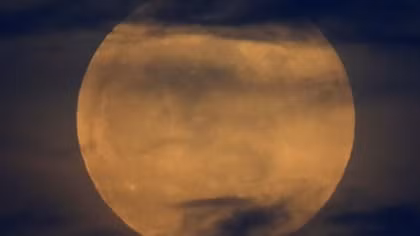Super blood wolf moon: stargazers battle cold and clouds to view lunar eclipse
