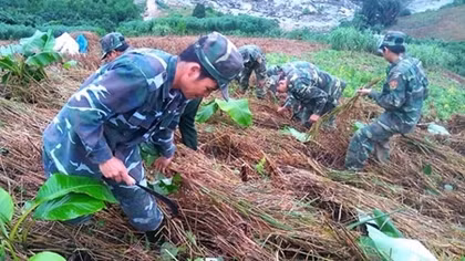 Border guards strive to ensure peaceful life for people