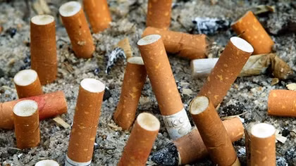 DNA study lays bare devastating damage caused by smoking