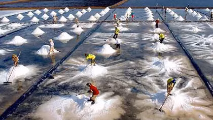 Photographers win gold medals at India’s photo contest