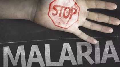 Mekong countries call for accelerated action to eliminate malaria before 2030