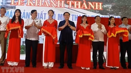 Biggest MDF factory of Central Vietnam opens in Ha Tinh