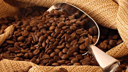 Global coffee exports forecast to hit 5-year low
