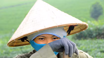 Vietnam ranked among top 10 countries in women business ownership