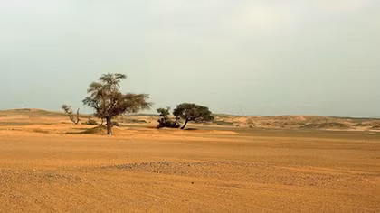 Ancient humans created the Sahara desert, says archaeologist