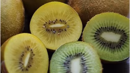 French kiwifruit approved for import into Vietnam