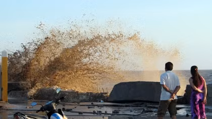 Bac Lieu needs 340 billion VND to deal with sea dike erosion