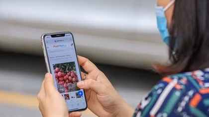Thieu lychees sold on e-commerce platform