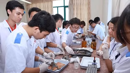 Health Ministry proposes new medical study standards