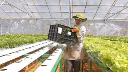 Japan leads agriculture trade mission to Vietnam