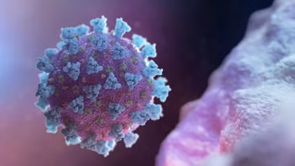 Five months on, what scientists now know about the coronavirus