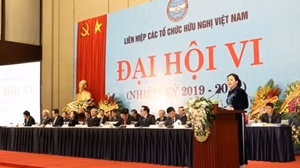 VUFO plays core role in people-to-people diplomacy: official
