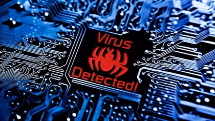 Computer viruses cause record loss of 637 million USD