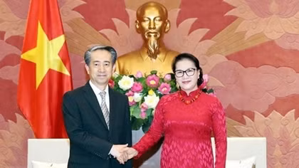 Vietnam values traditional friendship with China: NA Chairwoman