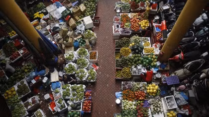 Fruit and veg outgrow rice to become Vietnam's third largest foreign-currency earner