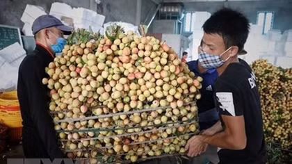 PM orders removing difficulties in farm produce consumption for Bac Giang