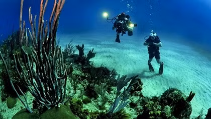 Mystery of the Deep: Strange footprints found 2.4 miles under ocean surface