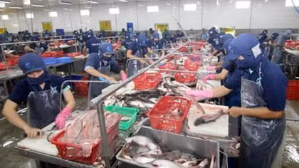 Earnings from key product exports fall in January