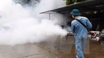 Hanoi: new dengue fever cases drop