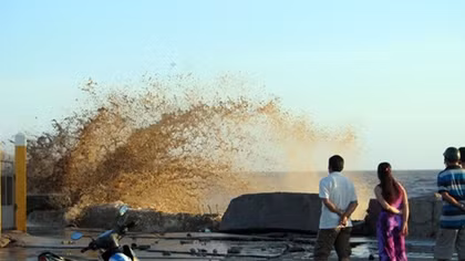 40 billion VND to surmount sea dyke erosion in Bac Lieu