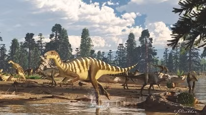 Dinosaur fossil found in Australia was about the size of a wallaby