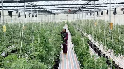 Sci-tech application key to developing smart agriculture