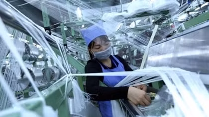Private sector should be pillar of Vietnam economy: expert