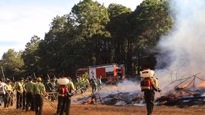 Forest firefighting drill held in Gia Lai