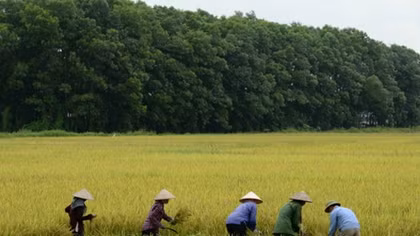 The hands that feed: Portraits of global farmers