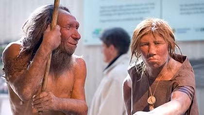 Earth's first artists were Neanderthals