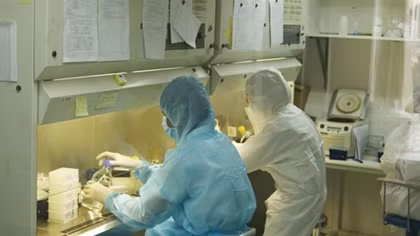 Number of COVID-19 cases remains unchanged over last two days