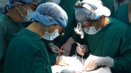 Vietnam performs transnational organ transplant miracles