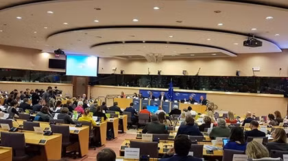 German media highlight resolution asking for ratification of EVFTA