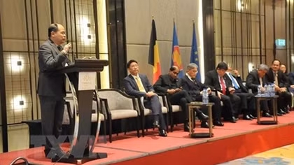 EVFTA to create new opportunities for Vietnam: official