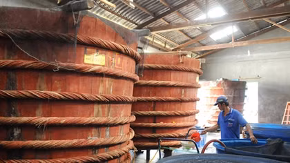 Vinastas asked to clarify personal faults in last year’s fish sauce case 