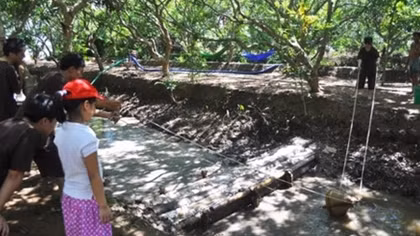 Get lost on garden islets of the Mekong Delta