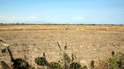 El Nino may fuel sizzling summer, frequent showers