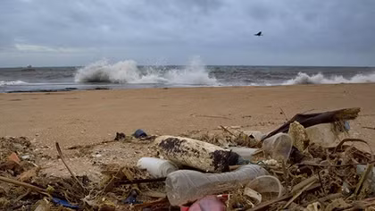 ‘Recycling solution:’ Researchers accidentally produce plastic-eating enzyme