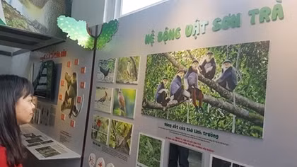 Da Nang opens Nature Education Center for young people
