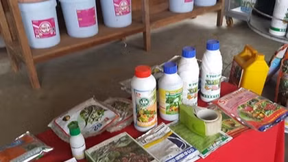 Vietnam spends over VND52 billion on daily imports of pesticides