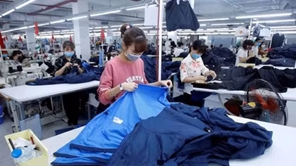 WB: EVFTA could lift Vietnam’s exports by 12 percent by 2030