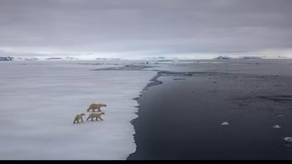 Domino-effect of climate events could move Earth into a ‘hothouse’ state