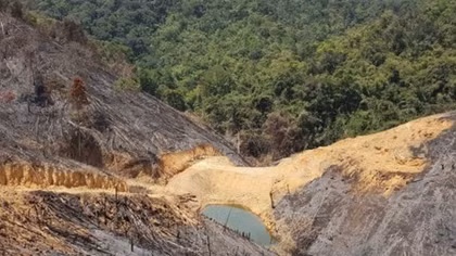 Vietnam’s forest coverage ratio reaches over 41%: MARD