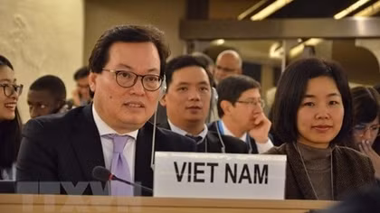 Vietnam supports peaceful use of nuclear power: Ambassador