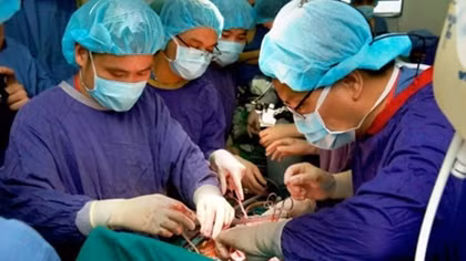 Vietnamese doctors succeed in first transplant of two lungs