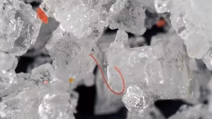 People eat at least 50,000 plastic particles a year, study finds